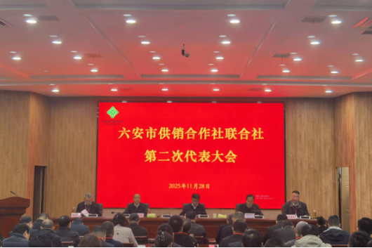深化综合改革  提升服务质效
奋力开创六安供销合作事业发展新局面